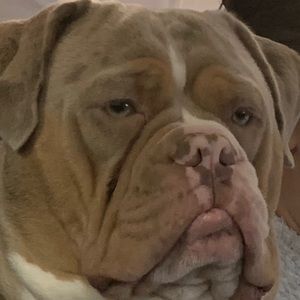 Meet your Posher, Haley